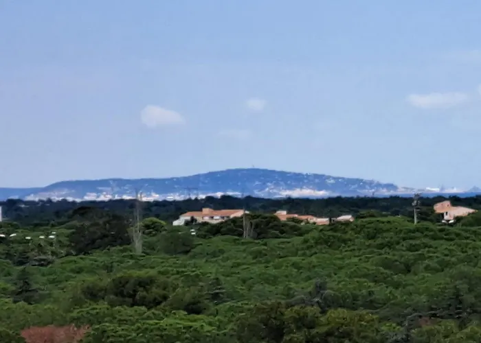 Apartman Iconic 652, T2 Vue Mer, Bien Equipe, Centre Port Agde